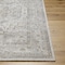 Livabliss Edmonton EDO-2303 Area Rug , With Fringe EDO2303-537 - alternate 2